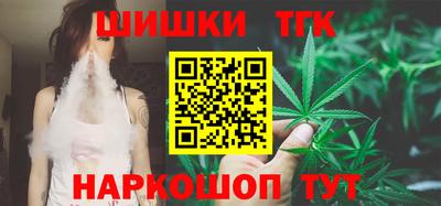 спайс Гагарин