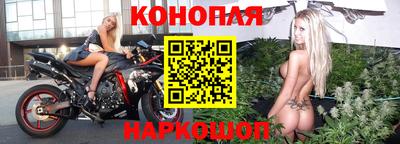 спайс Гагарин