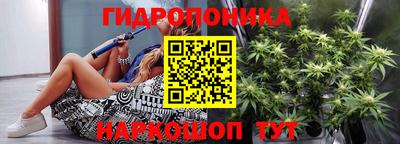 спайс Гагарин