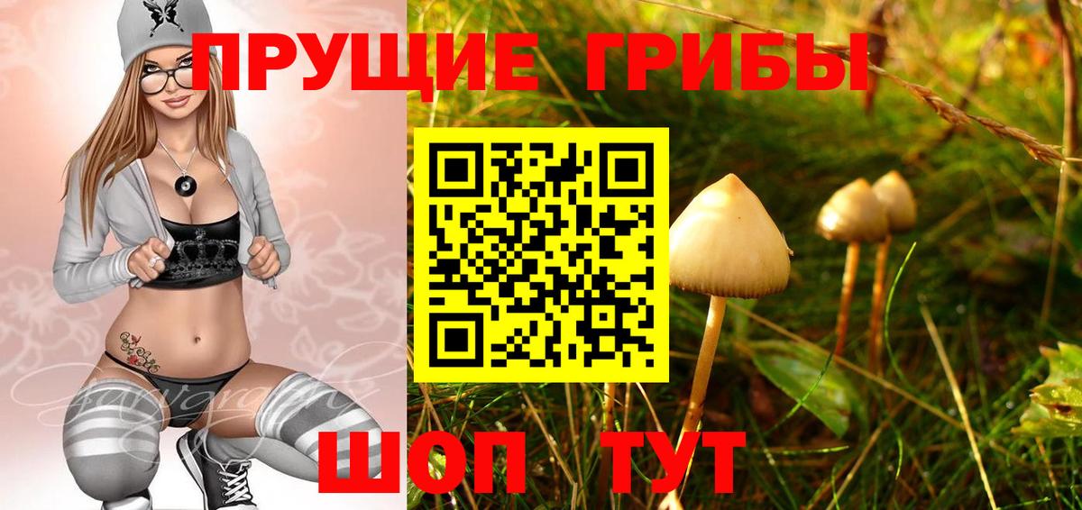 Липецк  Галлюциногенные грибы прущие грибы  Вход с VPN 